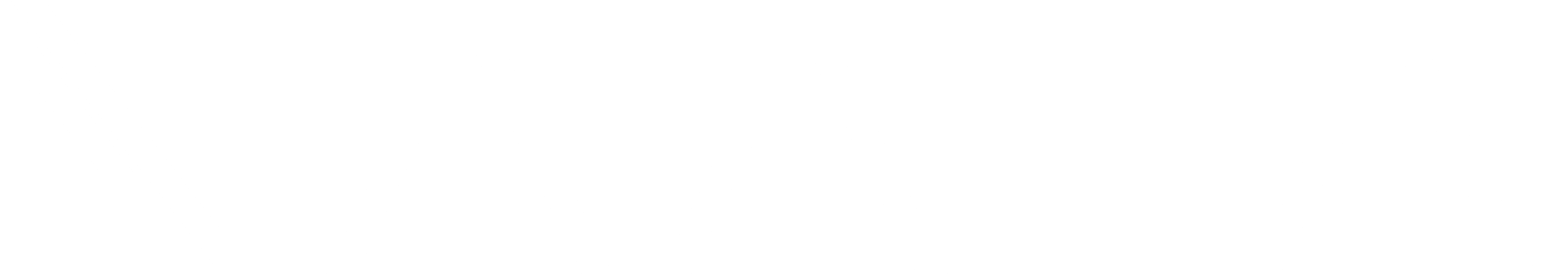 NAALA logo wit - zonder