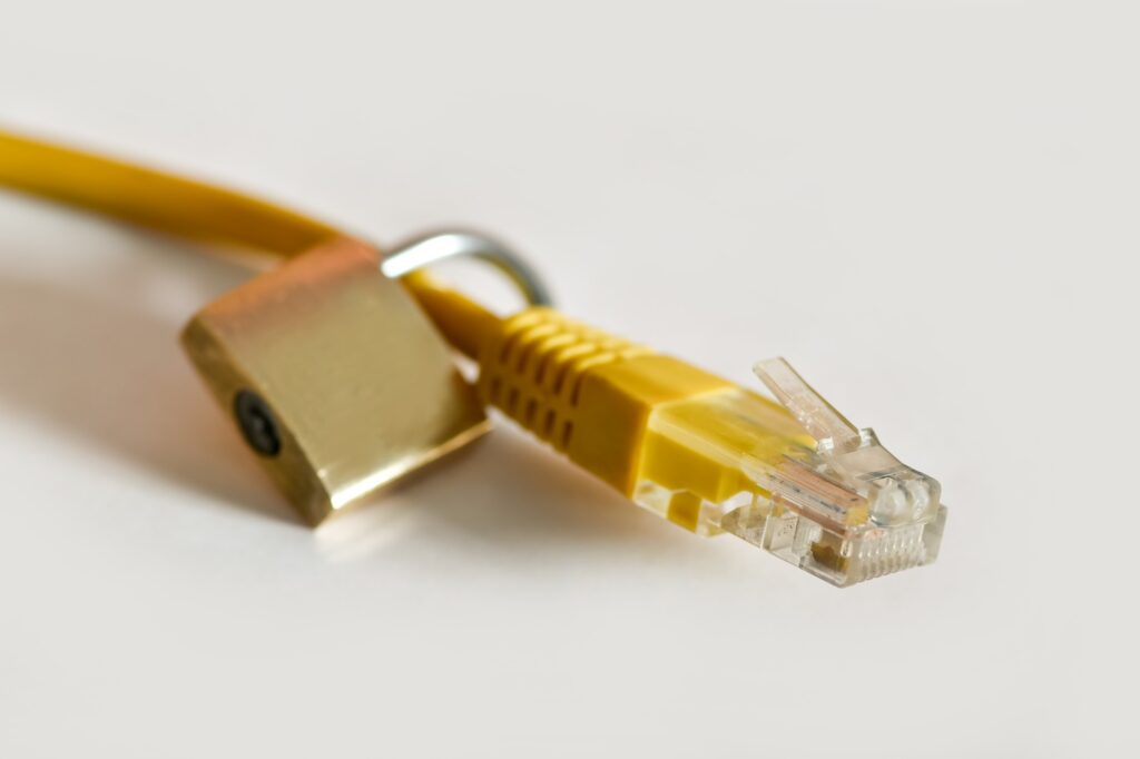 The network connector on white background. The LAN deconstructs the secure connection